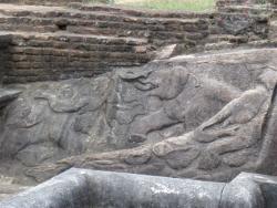 Anuradhapura - bassin