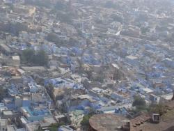 Jodhpur, ville bleue