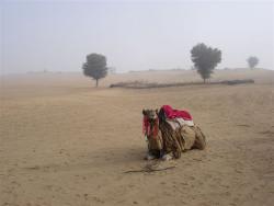 Khimsar