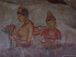 Sirigiya - Demoiselles 2